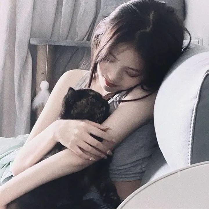 虎豹龙蛇鹰粤语