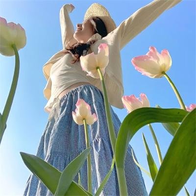 阿卡普高第二季